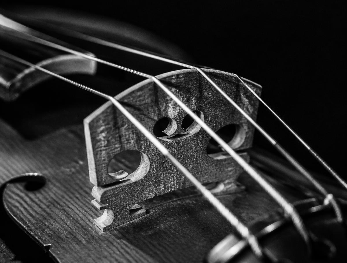Detalhe macro das cordas e do cavalete de um violino